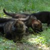 Erster Ausflug in den Garten