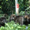 Erster Ausflug in den Garten