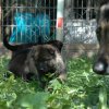 Erster Ausflug in den Garten