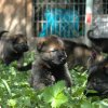 Erster Ausflug in den Garten