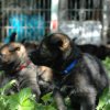 Erster Ausflug in den Garten