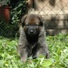 Frau Lila am 08.04.2017