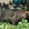 Frau Rot am 08.04.2017