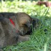 Erster Ausflug in den Garten