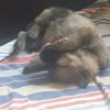 Frau Gelb beim Chillen