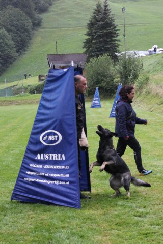 7-Länderwettkampf 2021 - Training Schutzdienst